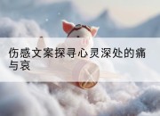 伤感文案探寻心灵深处的痛与哀