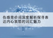 伤感竞价词深度解析探寻表达内心哀愁的词汇魅力