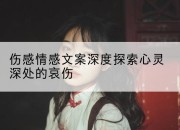 伤感情感文案深度探索心灵深处的哀伤