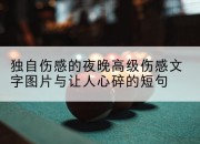 独自伤感的夜晚高级伤感文字图片与让人心碎的短句