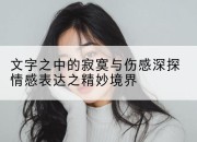 文字之中的寂寞与伤感深探情感表达之精妙境界