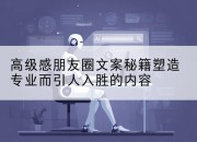 高级感朋友圈文案秘籍塑造专业而引人入胜的内容