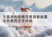 文案中的伤感深度探索寂寞与伤感的文字共鸣