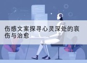 伤感文案探寻心灵深处的哀伤与治愈