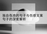 独自伤感的句子与伤感文案句子的深度解析