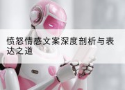 愤怒情感文案深度剖析与表达之道