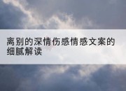 离别的深情伤感情感文案的细腻解读
