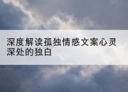 深度解读孤独情感文案心灵深处的独白