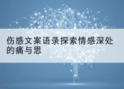 伤感文案语录探索情感深处的痛与思