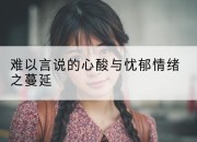 难以言说的心酸与忧郁情绪之蔓延