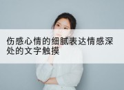 伤感心情的细腻表达情感深处的文字触摸