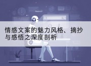 情感文案的魅力风格、摘抄与感悟之深度剖析
