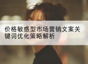 价格敏感型市场营销文案关键词优化策略解析