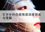 文字中的伤感情感深度探索与理解