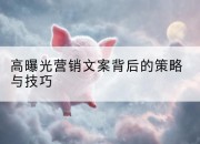 高曝光营销文案背后的策略与技巧