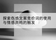 探索伤感文案竞价词的使用与情感共鸣的触发
