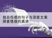 独自伤感的句子与深度文案探索情感的真谛