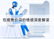 伤感竞价词的情感深度解读