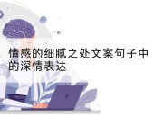情感的细腻之处文案句子中的深情表达