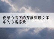 伤感心情下的深度沉浸文案中的心痛感受