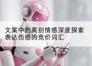 文案中的离别情感深度探索表达伤感的竞价词汇