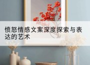 愤怒情感文案深度探索与表达的艺术