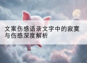 文案伤感语录文字中的寂寞与伤感深度解析