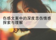 伤感文案中的深度悲伤情感探索与理解