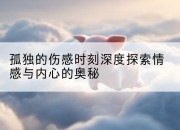 孤独的伤感时刻深度探索情感与内心的奥秘
