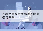 伤感文案探索情感深处的哀伤与共鸣
