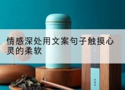 情感深处用文案句子触摸心灵的柔软