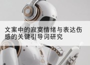 文案中的寂寞情绪与表达伤感的关键引导词研究