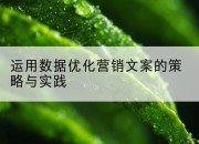 运用数据优化营销文案的策略与实践