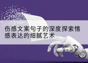 伤感文案句子的深度探索情感表达的细腻艺术