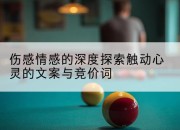 伤感情感的深度探索触动心灵的文案与竞价词