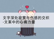 文字深处寂寞与伤感的交织-文案中的心痛力量