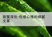 寂寞深处-伤感心情的细腻文案