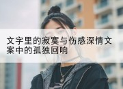 文字里的寂寞与伤感深情文案中的孤独回响
