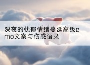 深夜的忧郁情绪蔓延高级emo文案与伤感语录