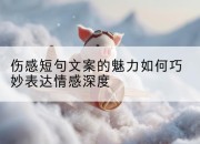 伤感短句文案的魅力如何巧妙表达情感深度