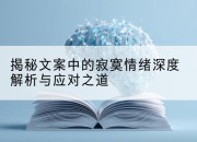 揭秘文案中的寂寞情绪深度解析与应对之道