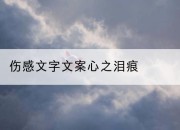 伤感文字文案心之泪痕