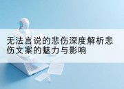 无法言说的悲伤深度解析悲伤文案的魅力与影响