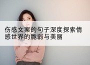 伤感文案的句子深度探索情感世界的脆弱与美丽