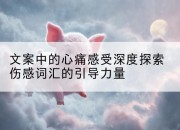 文案中的心痛感受深度探索伤感词汇的引导力量
