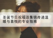 圣诞节日祝福语集锦传递温暖与喜悦的专业指南