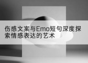 伤感文案与Emo短句深度探索情感表达的艺术