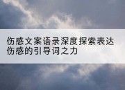 伤感文案语录深度探索表达伤感的引导词之力