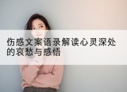 伤感文案语录解读心灵深处的哀愁与感悟