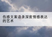 伤感文案语录深度情感表达的艺术